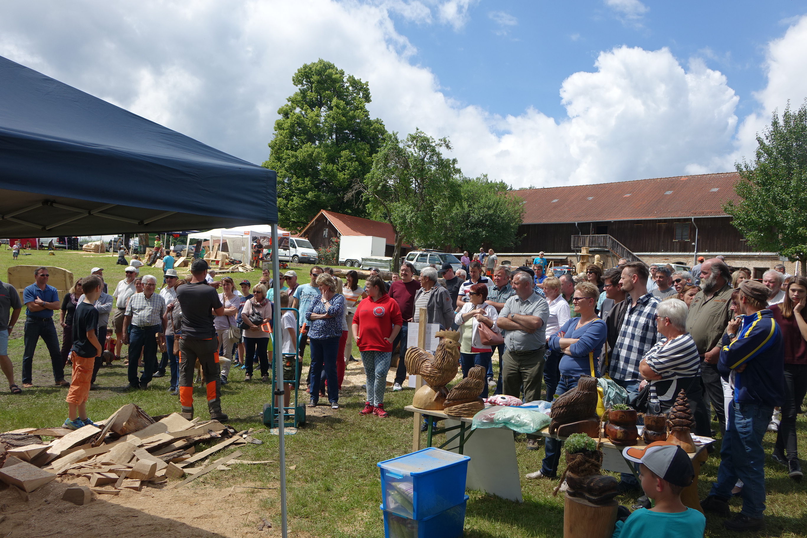Versteigerung der Speedcarving-Ergebnisse